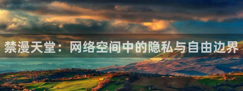 www.omofun.com：禁漫天堂：网络空间中的隐私与自由边界