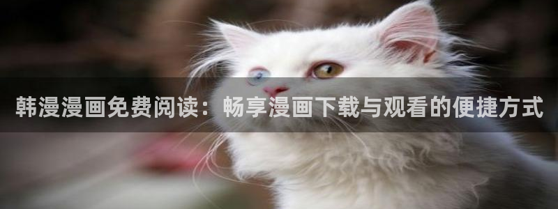 omofun动漫正版：韩漫漫画免费阅读：畅享漫画下载与观看的便捷方式