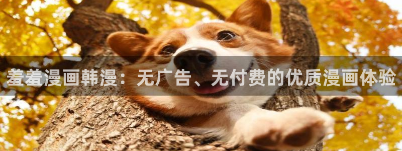 omofun正版下载：羞羞漫画韩漫：无广告、无付费的优质漫画体验