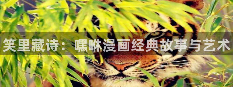 omofun官方下载入口：笑里藏诗：嘿咻漫画经典故事与艺术