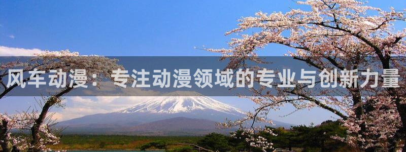 omofun最新纯净版：风车动漫：专注动漫领域的专业与创新力量