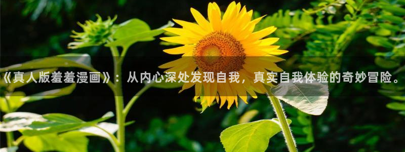 omofun入口：《真人版羞羞漫画》：从内心深处发现自我，真实自我体验的奇妙冒险。