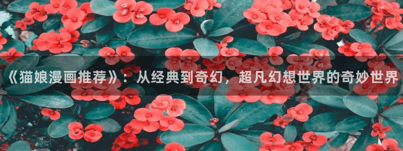 韩漫漫画下载链接：《猫娘漫画推荐》：从经典到奇幻，超凡幻想世界的奇妙世界