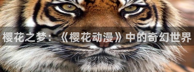 omofun动漫官网最新版：樱花之梦：《樱花动漫》中的奇幻世界