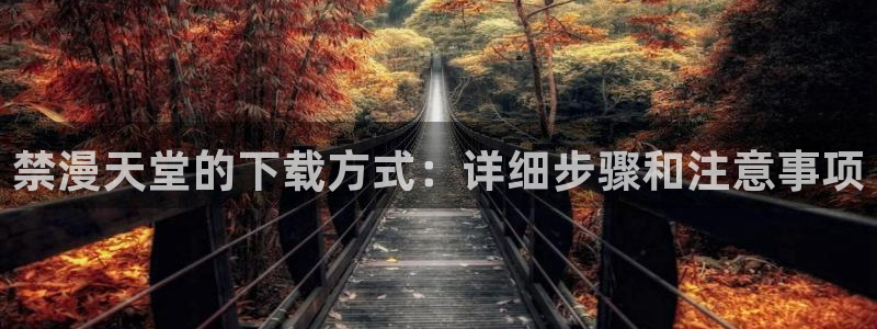 omofun免费看动漫