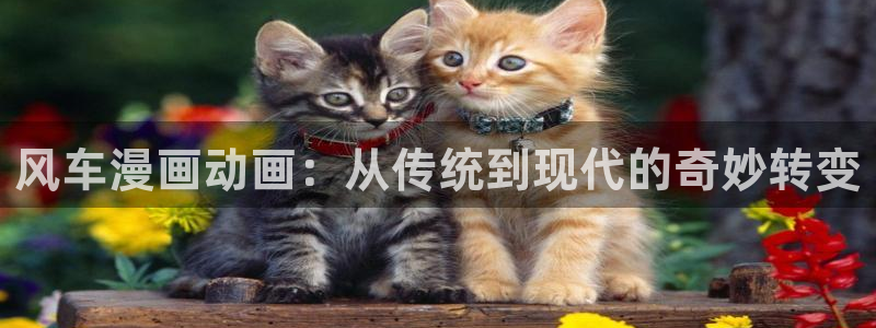 omofun官方网站下载