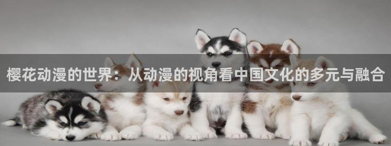 omofun动画