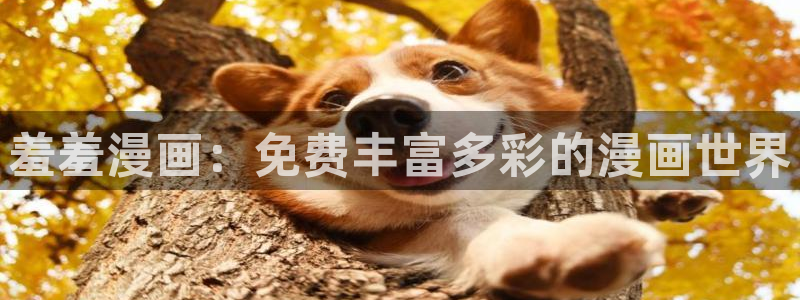 omofun电脑网页版：羞羞漫画：免费丰富多彩的漫画世界