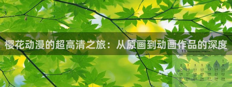omofun网页版：樱花动漫的超高清之旅：从原画到动画作品的深度