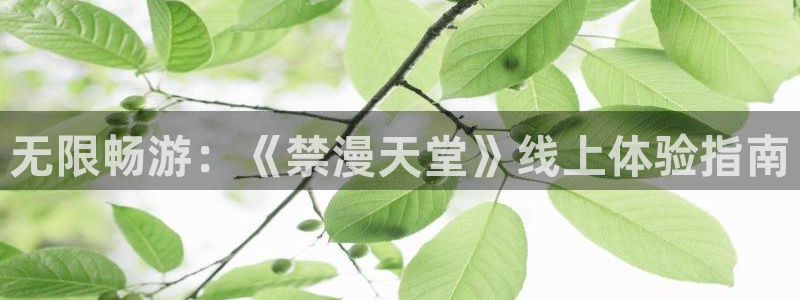 omofunapp下载：无限畅游：《禁漫天堂》线上体验指南
