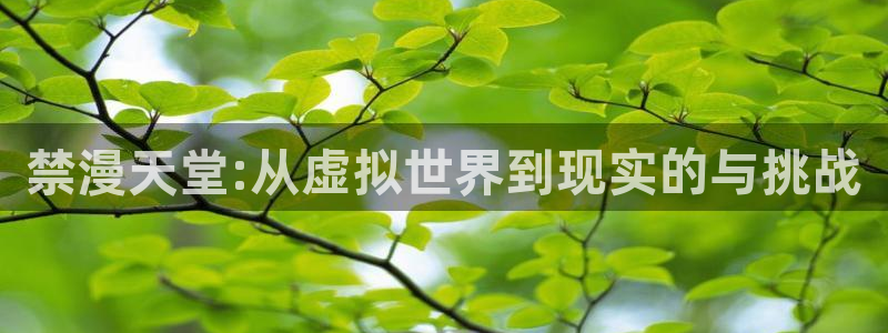 #omofun：禁漫天堂:从虚拟世界到现实的与挑战
