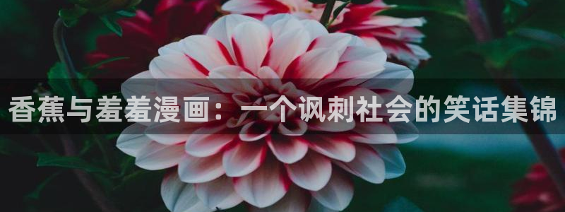 omofun在线观看动漫：香蕉与羞羞漫画：一个讽刺社会的笑话集锦