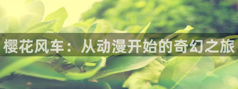 omofun.worko：樱花风车：从动漫开始的奇幻之旅
