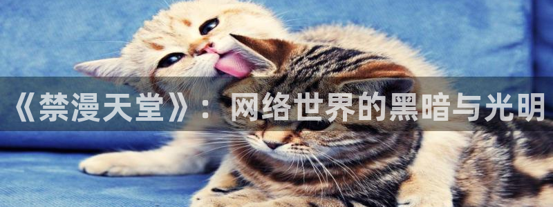 omofun动漫.：《禁漫天堂》：网络世界的黑暗与光明