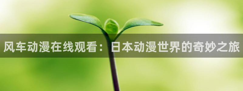 1 omofun：风车动漫在线观看：日本动漫世界的奇妙之旅