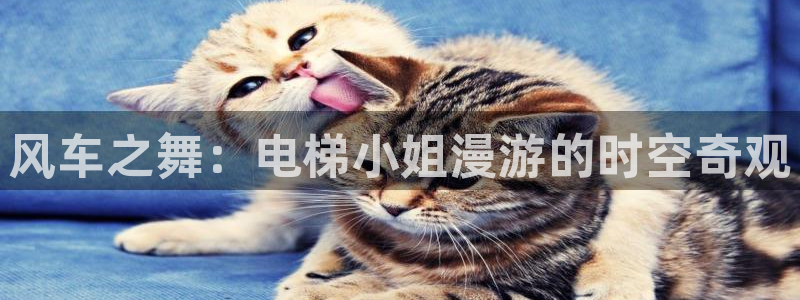 韩漫漫画免费下载：风车之舞：电梯小姐漫游的时空奇观