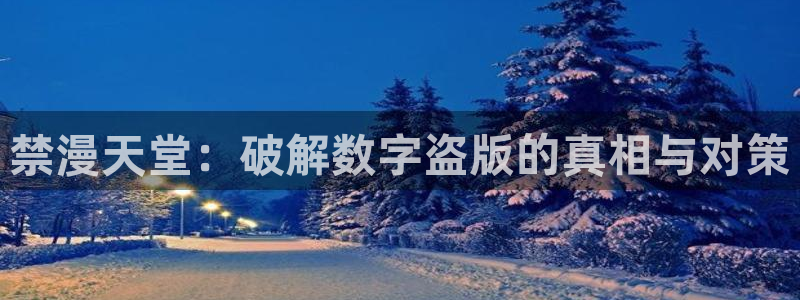 age动漫omofun：禁漫天堂：破解数字盗版的真相与对策