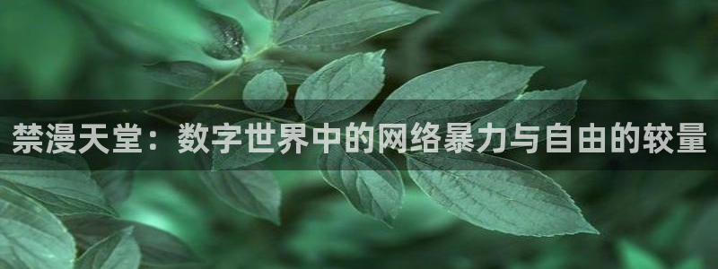 omofun动漫在线观看看：禁漫天堂：数字世界中的网络暴力与自由的较量