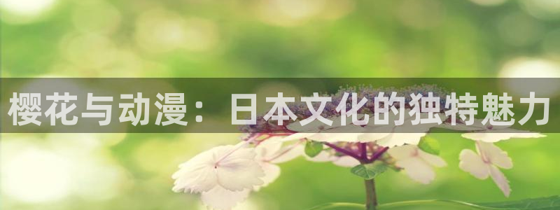 omofun. t：樱花与动漫：日本文化的独特魅力