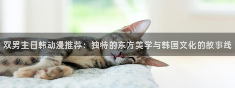 omofun无广告：双男主日韩动漫推荐：独特的东方美学与韩国文化的故事线